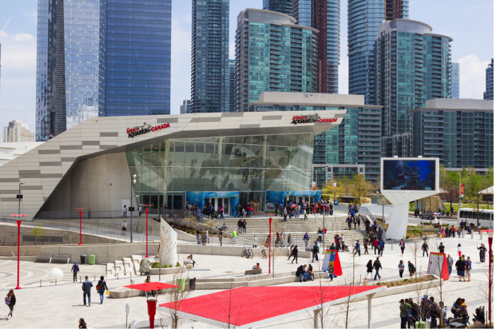 Find Out Why Toronto is Hot for Hospitality Training