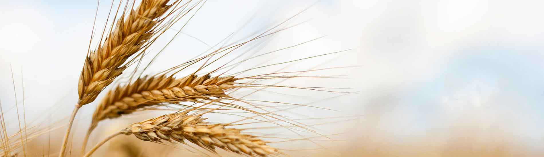 Training Programs in Saskatchewan