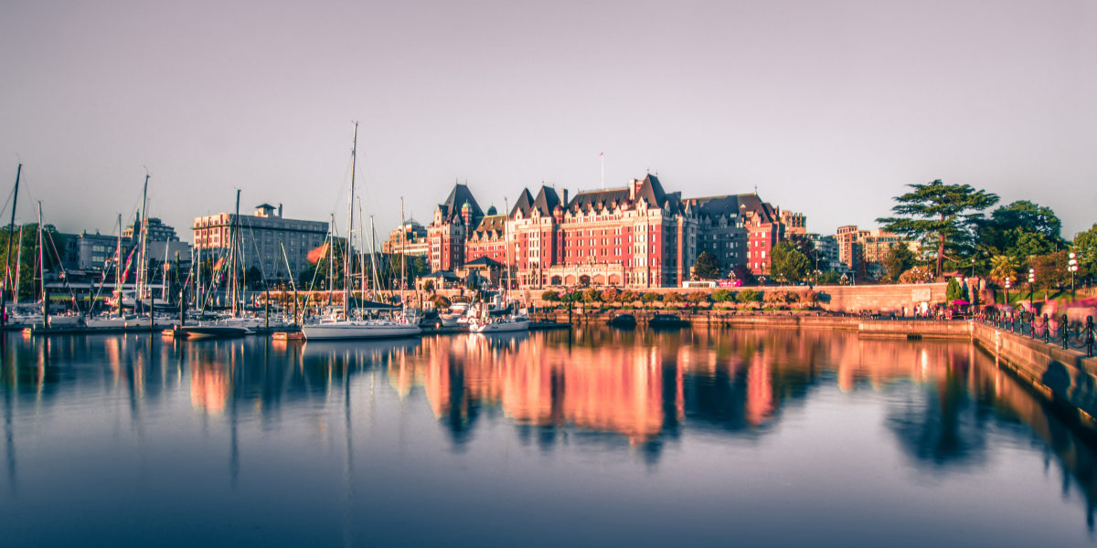 Top Reasons to Start Your Accounting Training in Victoria